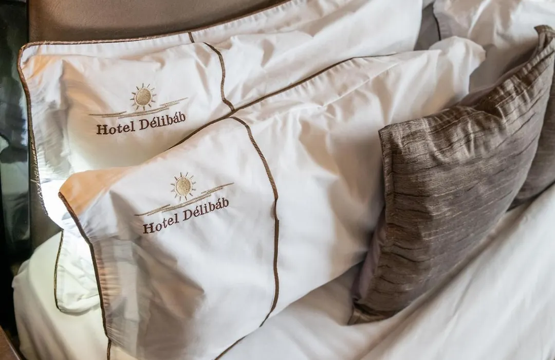 Hotel Delibab-1